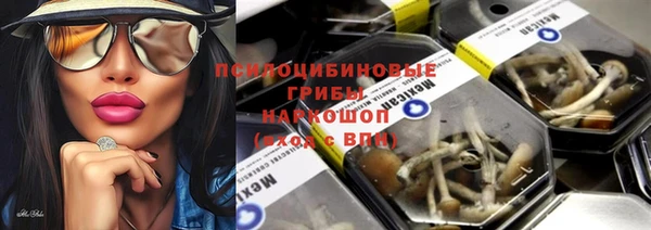 mdpv Заводоуковск