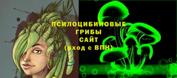 mdpv Заводоуковск